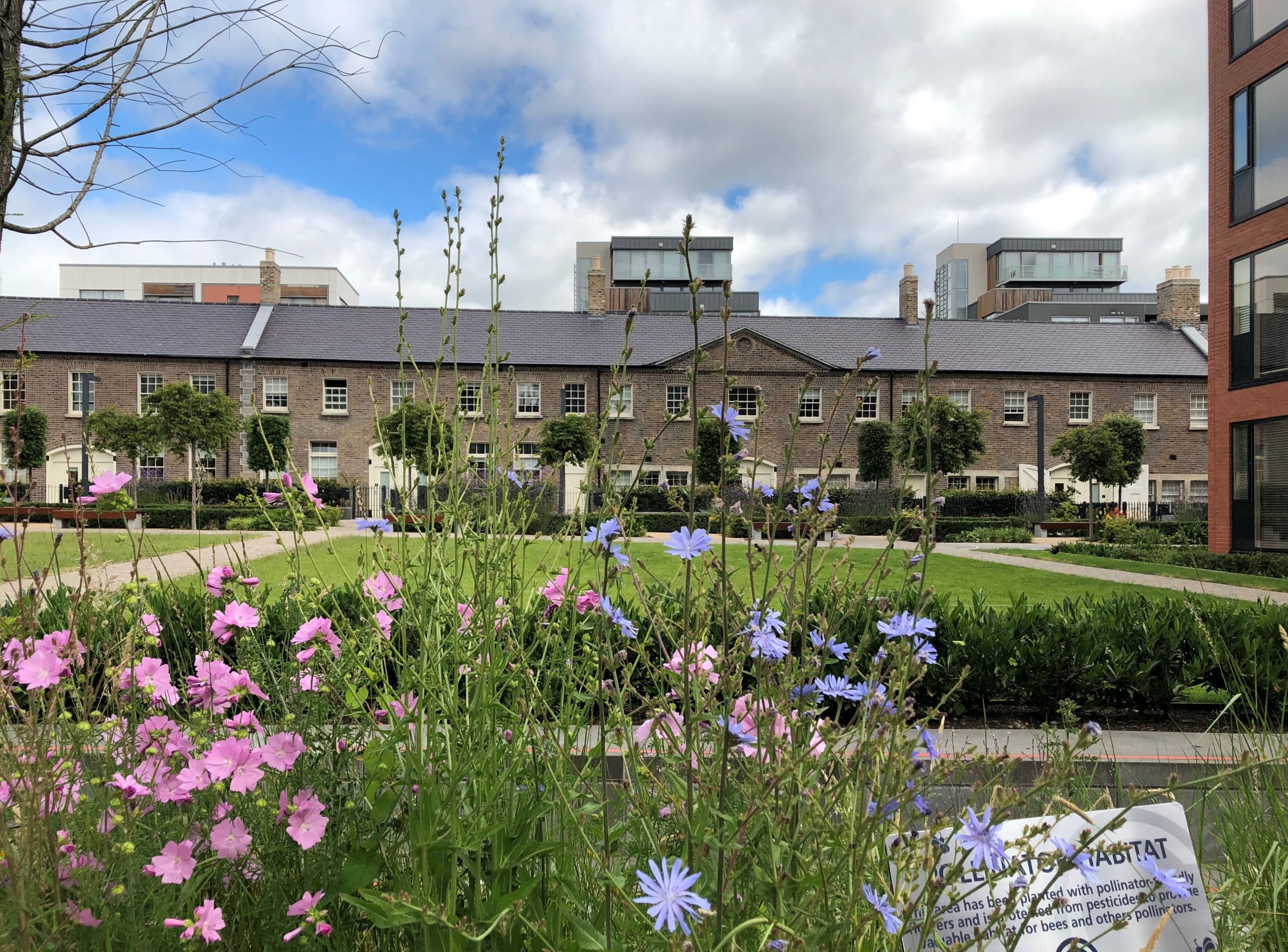 Clancy Quay Development