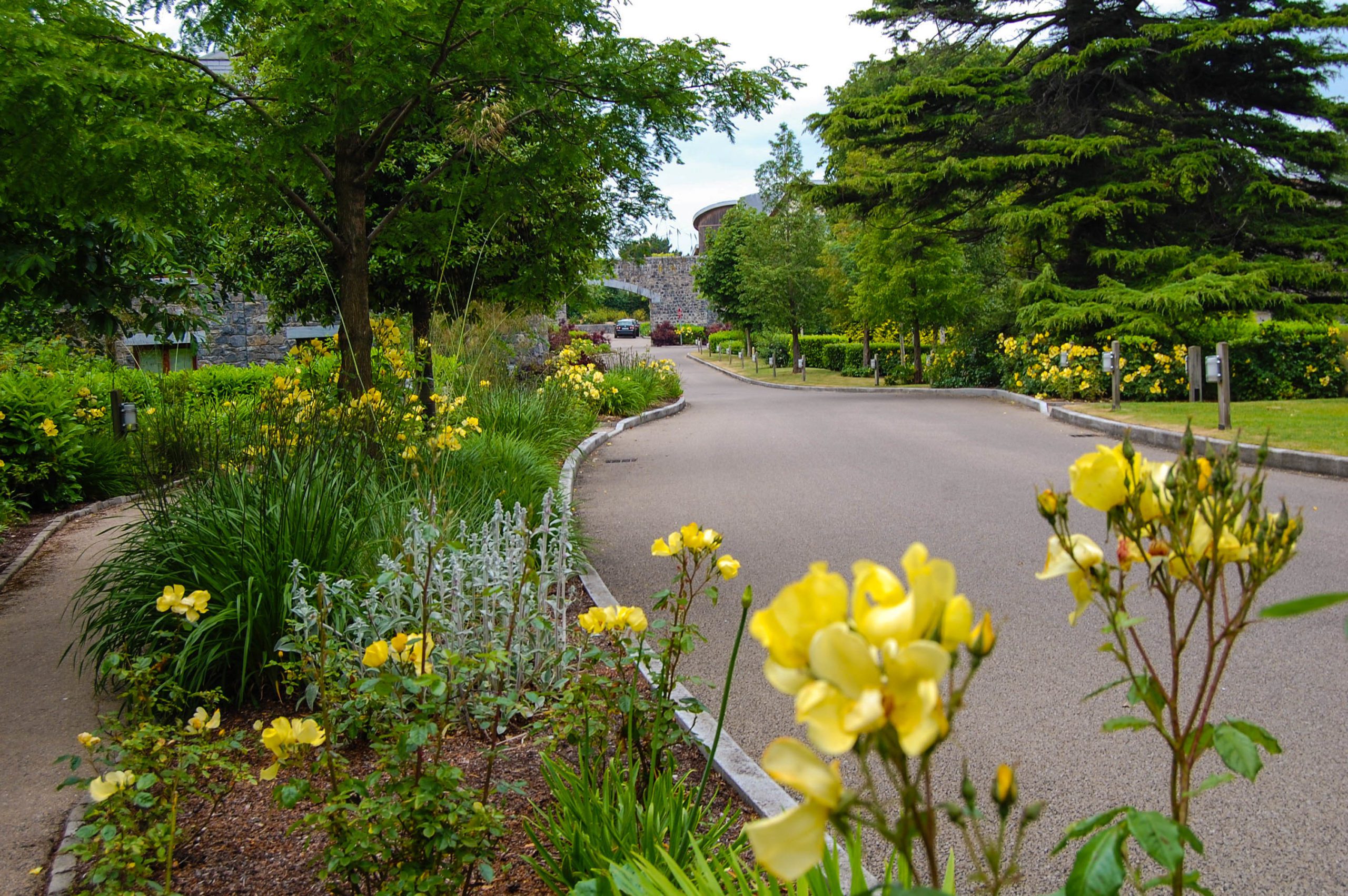 Commercial Grounds Maintenance