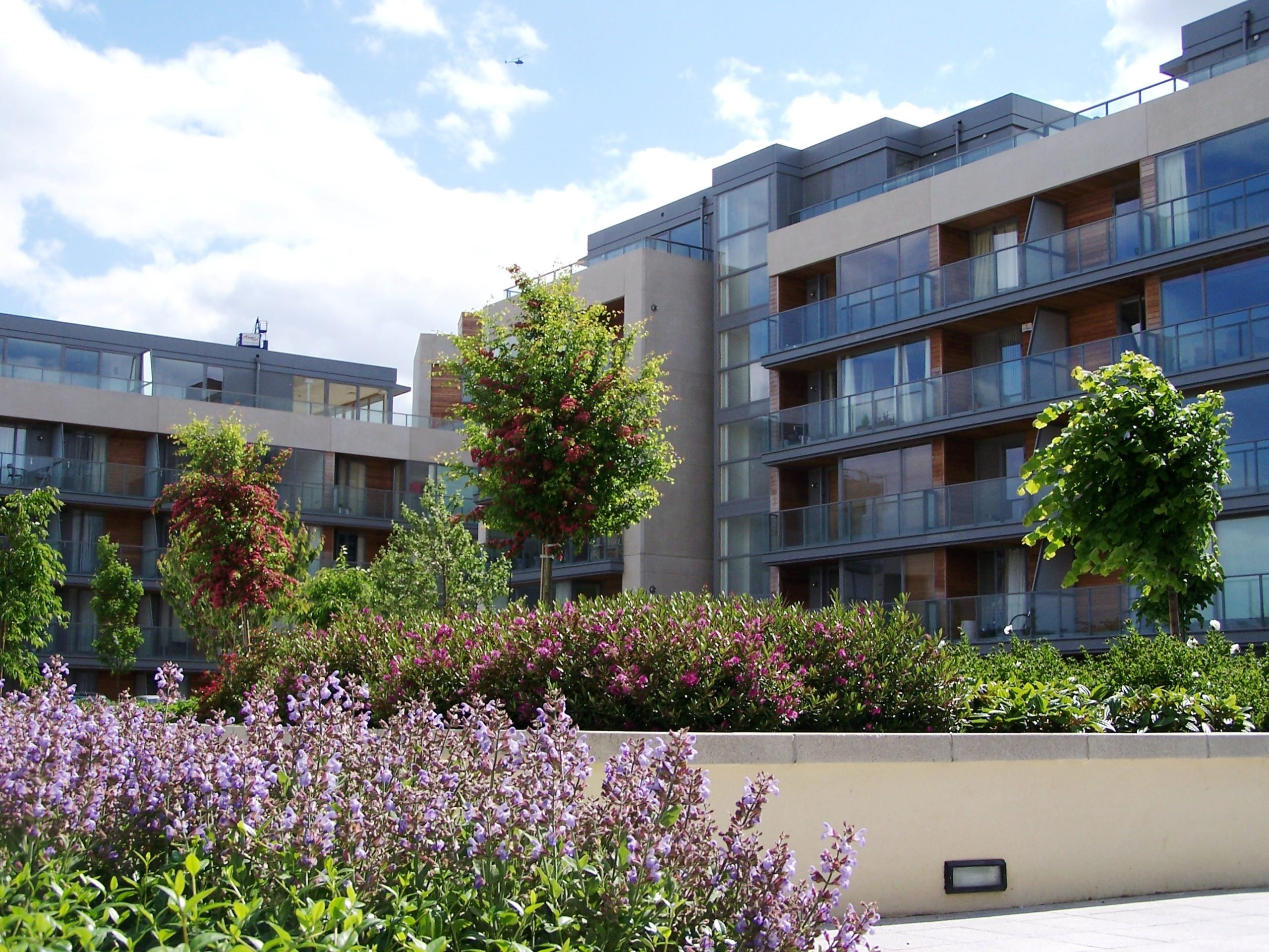 Thornwood Development